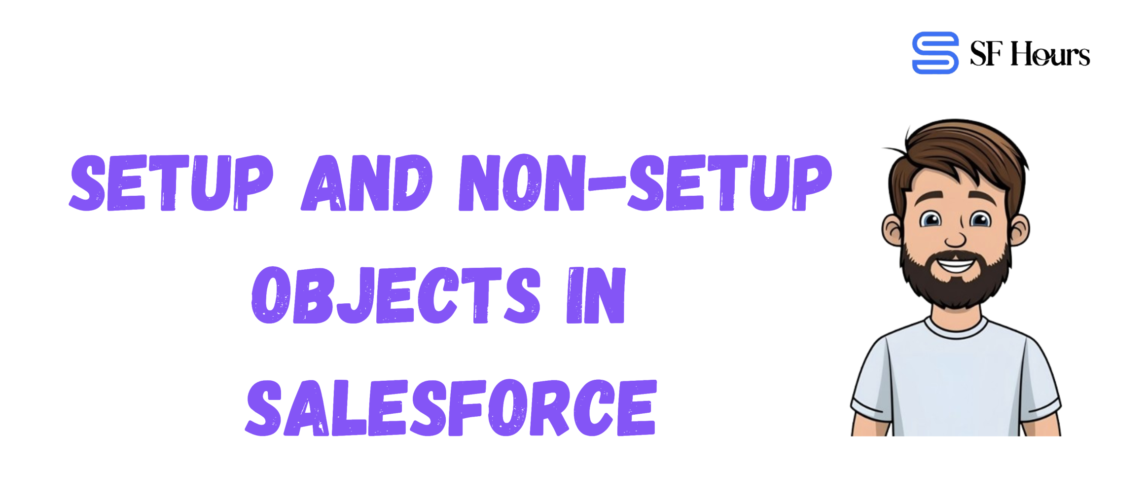 Setup and Non-Setup Objects in Salesforce
